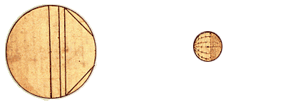 Codex Leicester Image