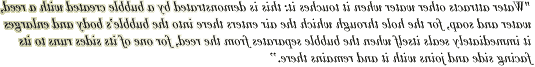 zitat